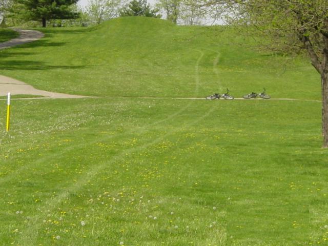 parktracks1.jpg